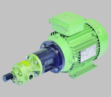 Flange Mounting Rotary Gear Pump